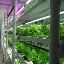 해운농장 이미지