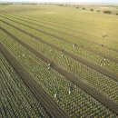 김정기농장 이미지