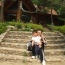 석천2 Daum카페