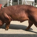 경기도축산진흥센터 이미지