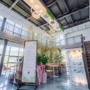 별빛애견펜션 이미지