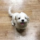 네네치킨  망우점 이미지