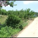 녹전1동 이미지