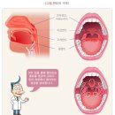 J0390 이미지