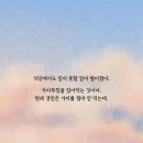 심플즈