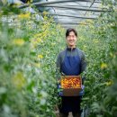 이규호농장 이미지