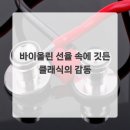 아름다운 선율 바이올린 이미지
