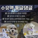 둥글댕글 이미지