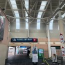 홍천 비발디파크 스노위랜드 아이랑 눈썰매장 입장권 할인