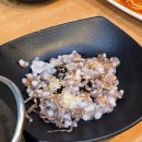 빠키카세