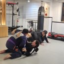 수락주짓수파라에스트라 서울 이미지