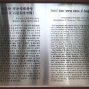 장춘사석조여래좌상 Daum카페