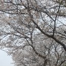 사평풍류마을 이미지