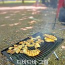 캠핑용품 추천 불쇼 없는 디바디바 그릴 고기불판 실사용 후기