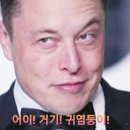 이모생선 이미지