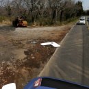 녹색목장 이미지