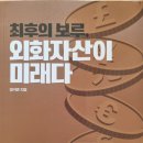 최후의 보루, 외화자산이 미래다 - 양석준 지음 이미지