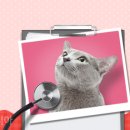 모두동물병원 이미지