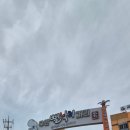 무안낙지 이미지