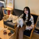 보리수카페 | [성북구 종암동/고려대역 카페] 기쁜 소식 kiso, [안암동 카페] 보리수 방문후기