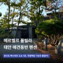 장화운동장 | 몽산포 펜션 태안 애견동반 숙소 메르벨르 풀빌라 후기