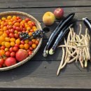 (주)아리수인터넷 이미지