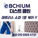 비치움더스트클린