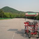 인천대공원(자전거광장) 이미지