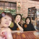 (주) 모모투어 이미지
