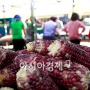 삼기체육관 이미지