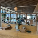 청운다실 | 하동 대형카페 다도 체험 가능한 티카페하동 방문 후기