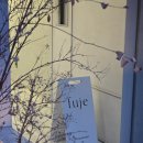 도곡농장2 | [도곡/양재] 후제 Fuje - 자연의 맛이 좋았던 김종근 셰프의 프렌치 파인다이닝