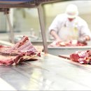 용일행정사사무소 이미지