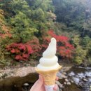 정미목장 이미지