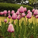 연지공원2 이미지