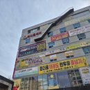 리프패럿대구