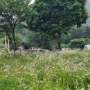 스테이 소야 이미지