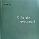 신동환 시집-'강가의 달은 누굴 보았을까' 출간 이미지