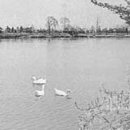 오천읍 해와달 이미지