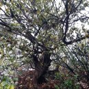 다대포항역 이미지