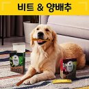 비트덴탈 이미지