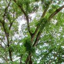 탑선마을 이미지