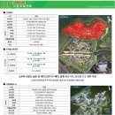 정동초병설유치원 이미지