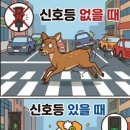 주은청설아파트앞 이미지