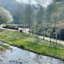 나는숲이다 이미지