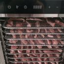 멍멍스토리 이미지