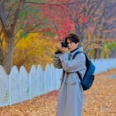 싱글 인 서울 이미지