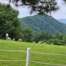 테마와 하루(목장 체험) 이미지