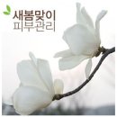 다운피부관리 Daum카페