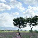 대나무공원 화장실 이미지